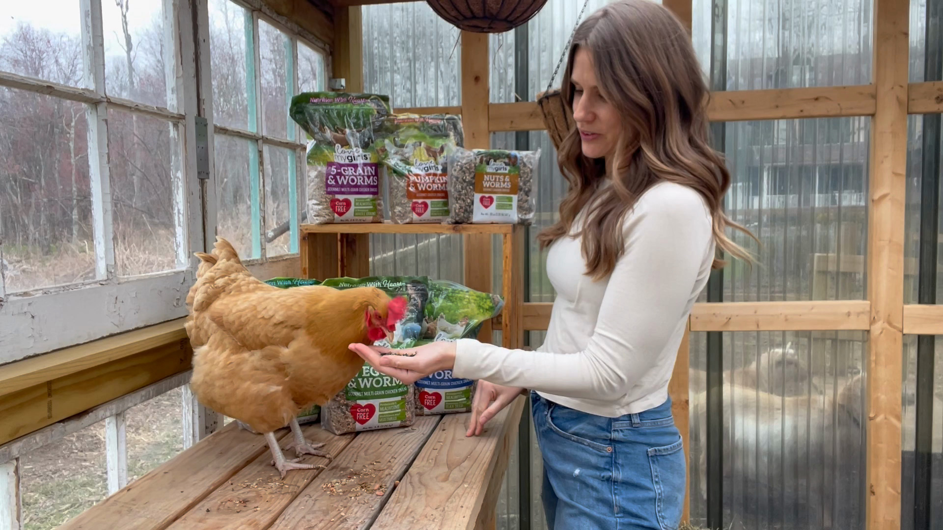 LOVE MY GIRLS Pumpkin & Worms Corn-Free Gourmet Chicken Treats, 2