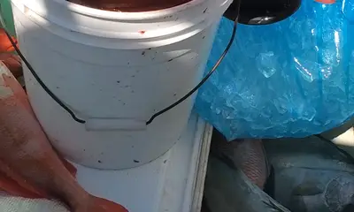 Jacksonville Report Video 1