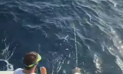 Tavira Report Video 1