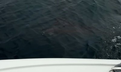 he put us on fish right away