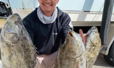 Tampa Report Video 0