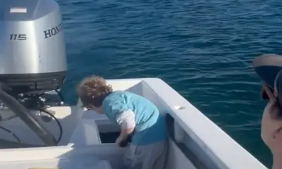 San Jose del Cabo Report Video 0