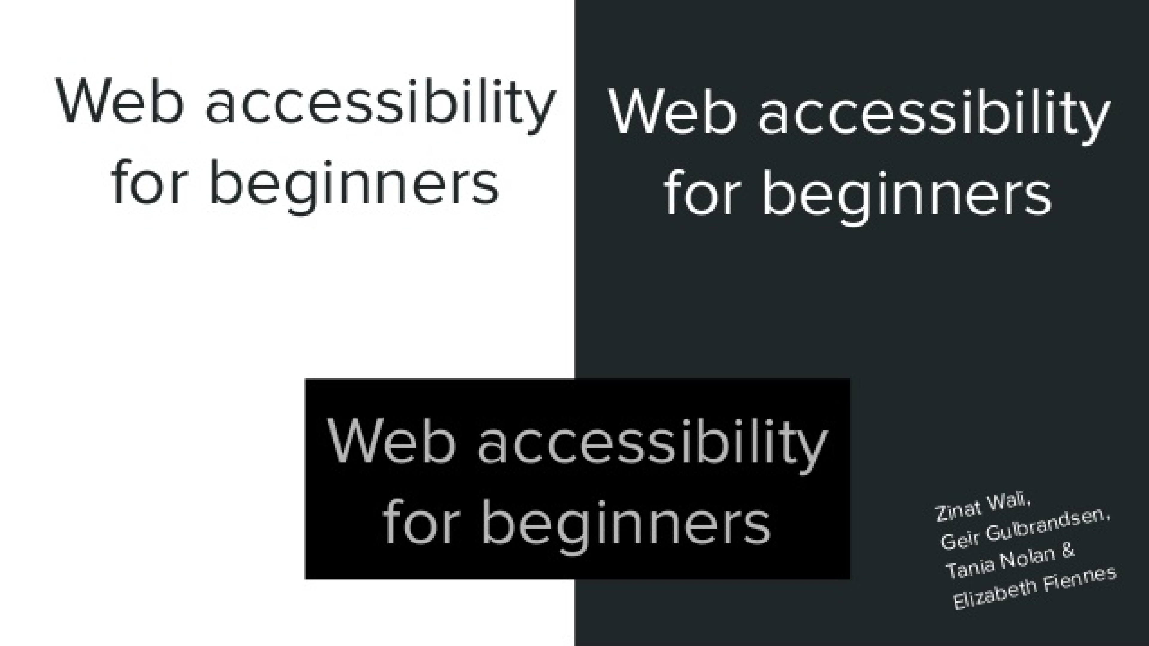 Accessibility for beginners with Elizabeth Fiennes