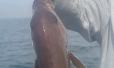 A great day of fishing!