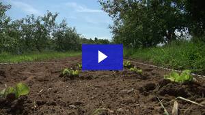 Solar for the Maine Organic Farmers and Gardeners Association