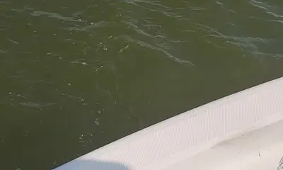 Jefferson Parish Report Video 2