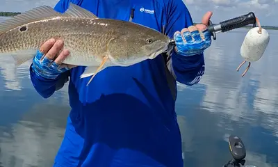 San Antonio Report Video 0