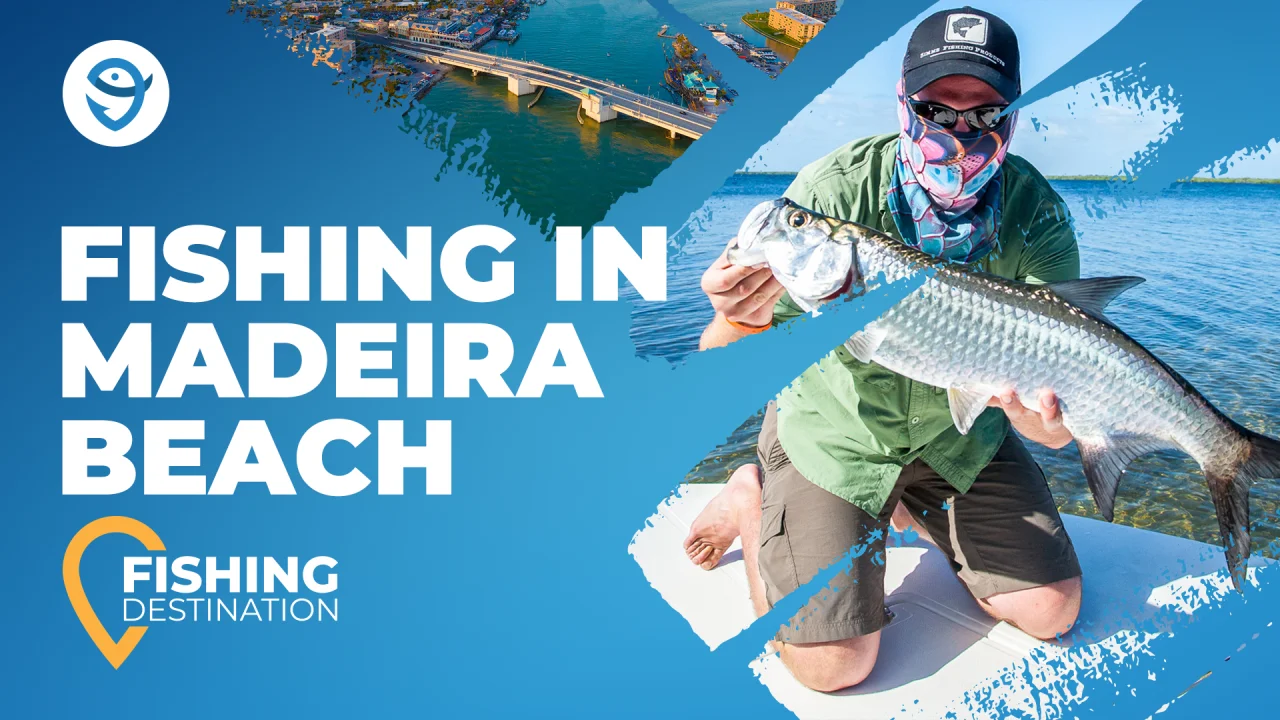 Fishing in MADEIRA BEACH: The Complete Guide