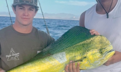 San Jose del Cabo Report Video 0