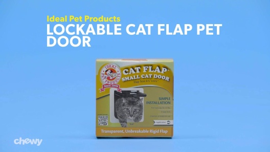 Play Video: Learn More About Ideal Pet Products From Our Team of Experts