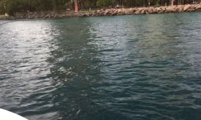 Miami Bericht Video 0