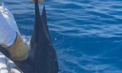 Fishing Costa Rica on the Whisper 