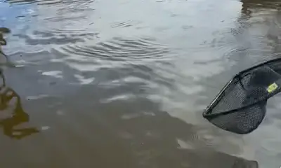 Tight Line is the way to go!!