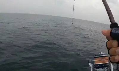 Reporte de Panama City Video 0