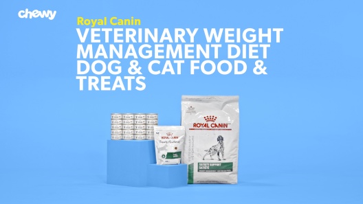 Play Video: Learn More About Royal Canin Veterinary Diet From Our Team of Experts