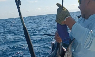 Puerto Vallarta Report Video 0