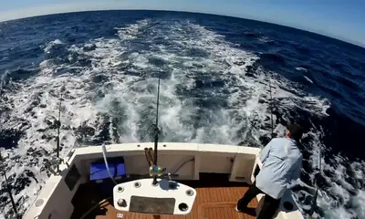 Sydney Report Video 0