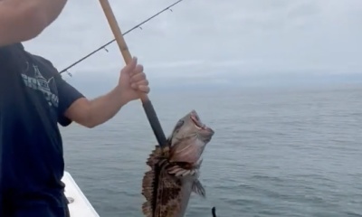 Los Angeles Report Video 0