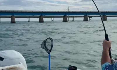 Richard was a blast to fish with. Super knowlegable, fast nice boat.