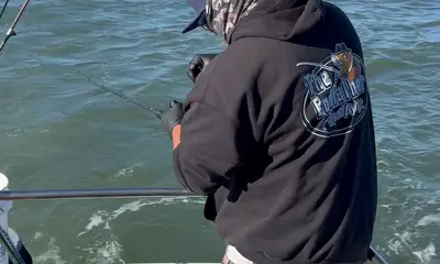 Richmond Report Video 4