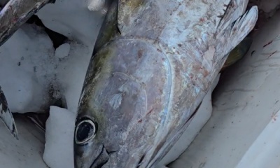 Pompano Beach Report Video 0