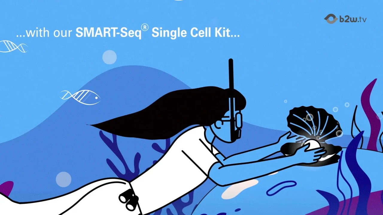Animated Medical Video Production | Medical Device Explainer Videos Animated Medical Video Production | Medical Device Explainer Videos