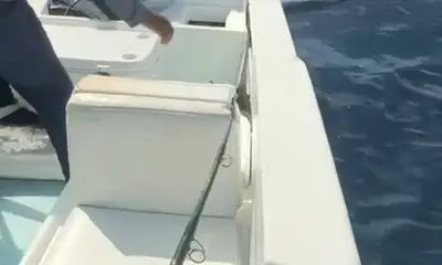 San Jose del Cabo Report Video 1