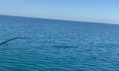 Sarasota Report Video 2