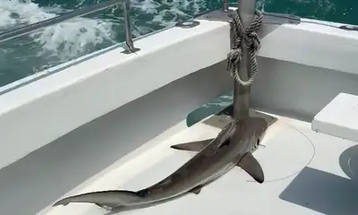 Trip was a Success