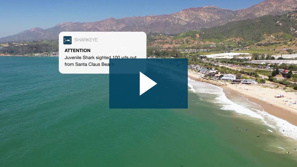 Ai drónok figyelmeztetnek a cápa veszélyre a kaliforniai Padaro Beachen 1a42732d09b74d4734c2894710fe83c6