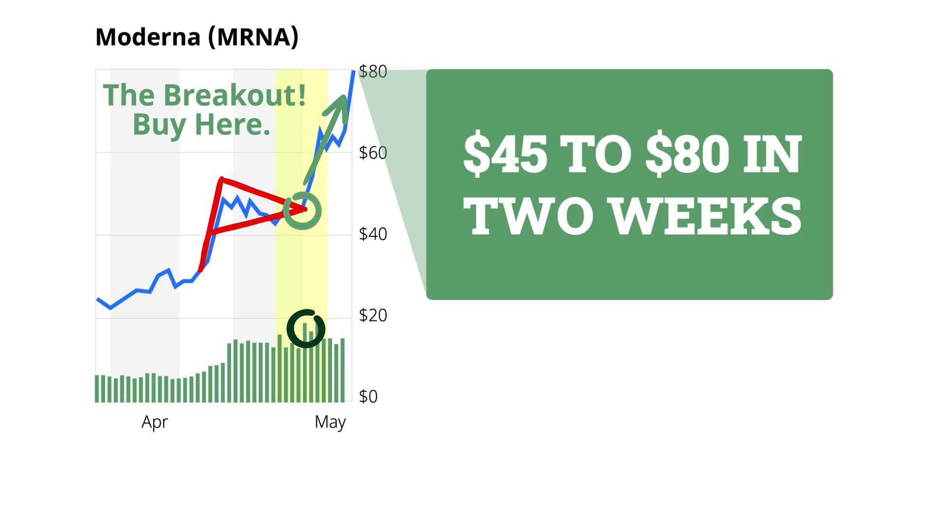 How to Trade Like a Champion Video Series The Oxford Club