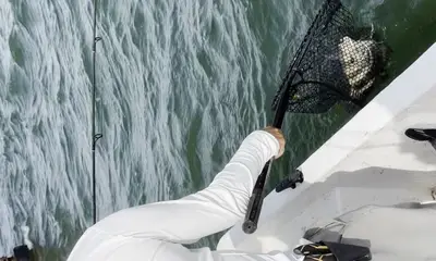 2 Hours Now. 4 Hours Next Time!