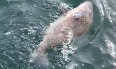 Late October Fishing