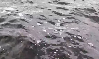 Fantastic family fishing trip