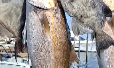 Okaloosa County Report Video 4
