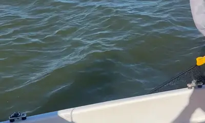 Don\u2019t hesitate, book it!