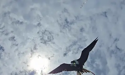 Belize Report Video 2