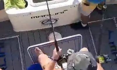 Cabo San Lucas Report Video 0