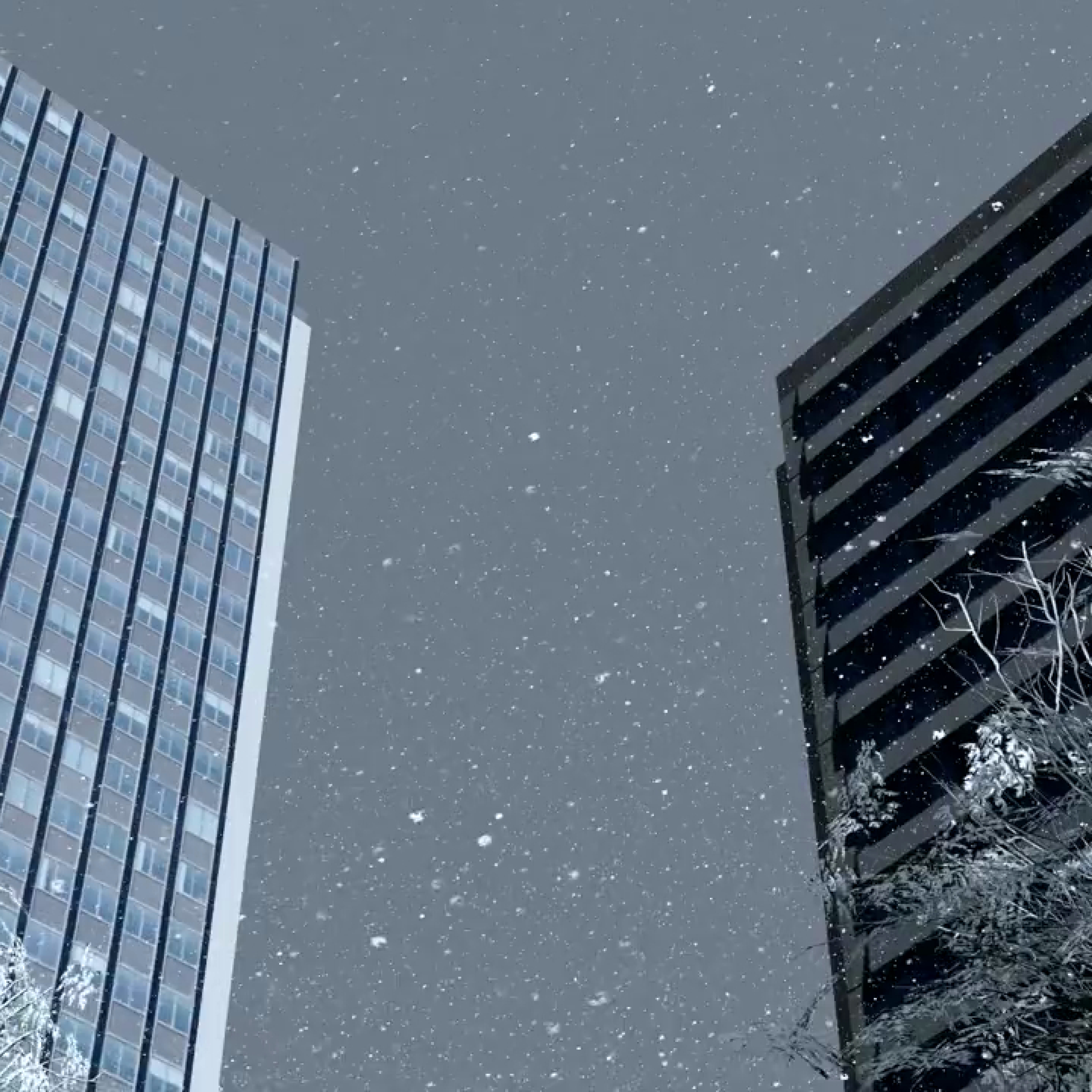 Lessons Learned from Winter Storm Damage