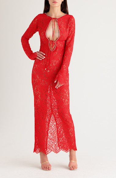 Lisandra Crystal Trim Long Sleeve Lace Dress (Women) | Nordstrom