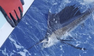 Great Fishing Trip of a lifetime!