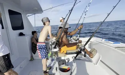 Top notch experience