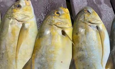 Ambergris Caye Report Video 0
