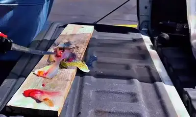 worth the trip !!!!!