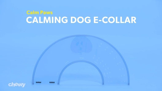 Play Video: Learn More About Calm Paws From Our Team of Experts