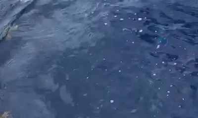 West Bay Report Video 0