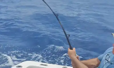 West End Report Video 0