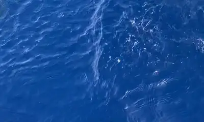 Calheta Report Video 0