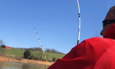 Rutledge Bericht Video 0