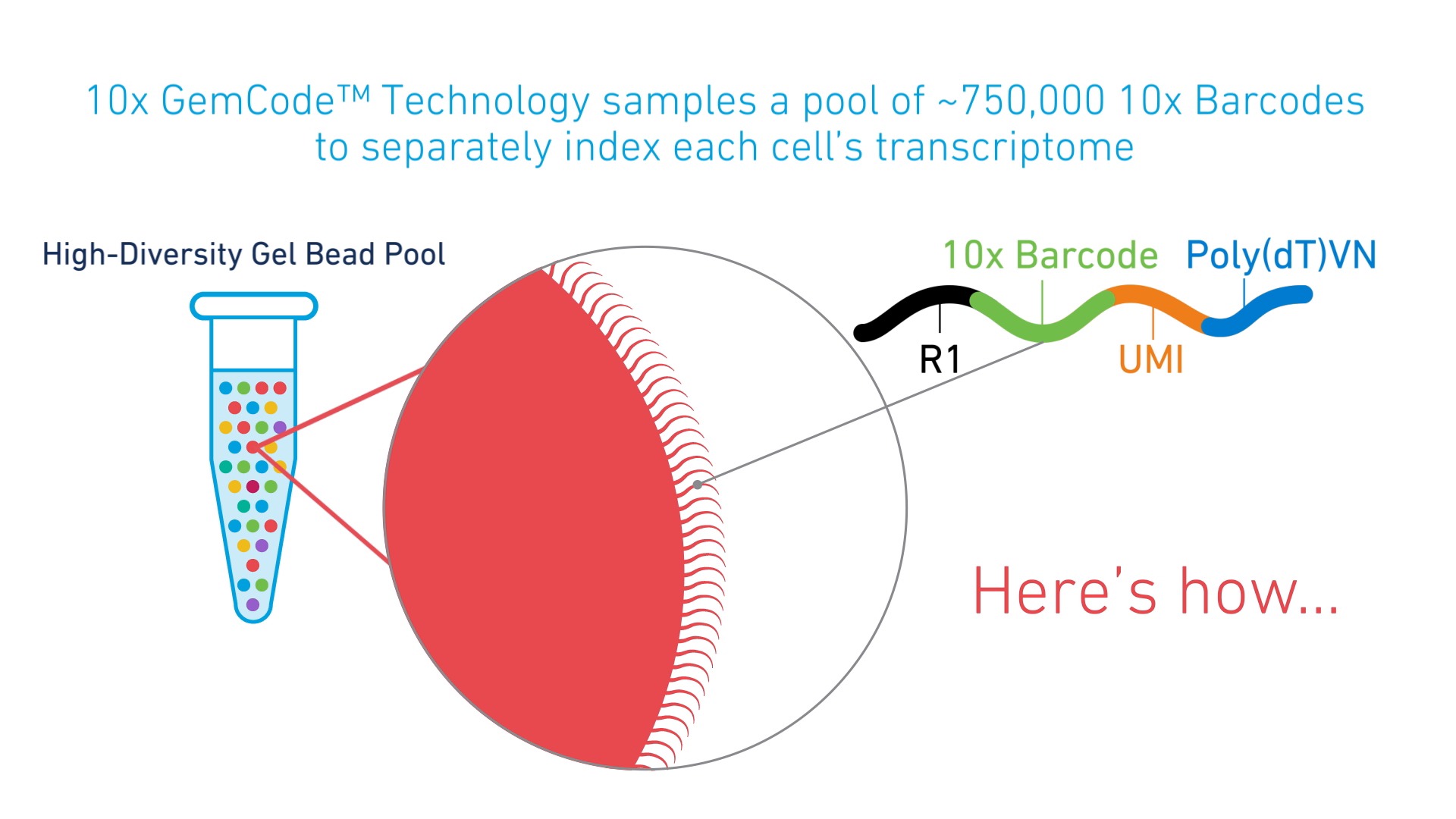 Single-Cell RNA-Seq: An Introductory Overview And Tools For Getting Started